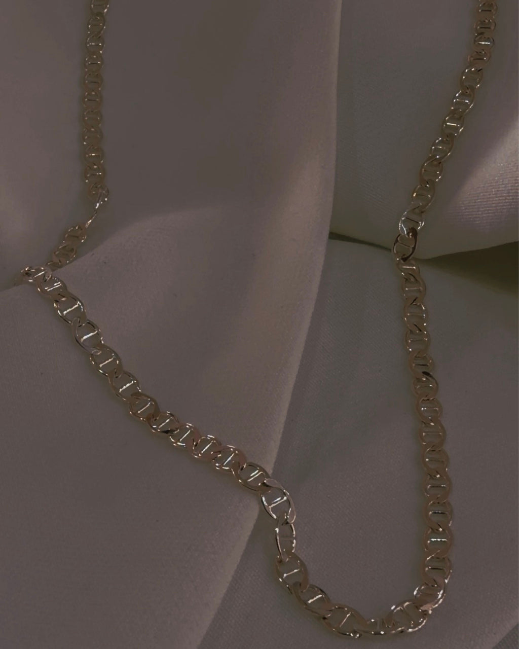 Cadena Titán Silver