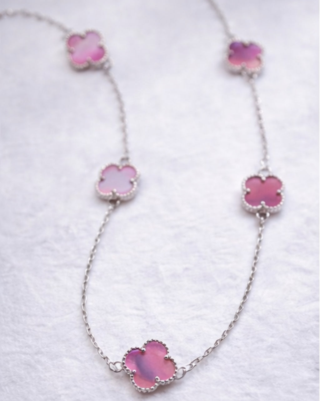 Conjunto Rosa Eterna
